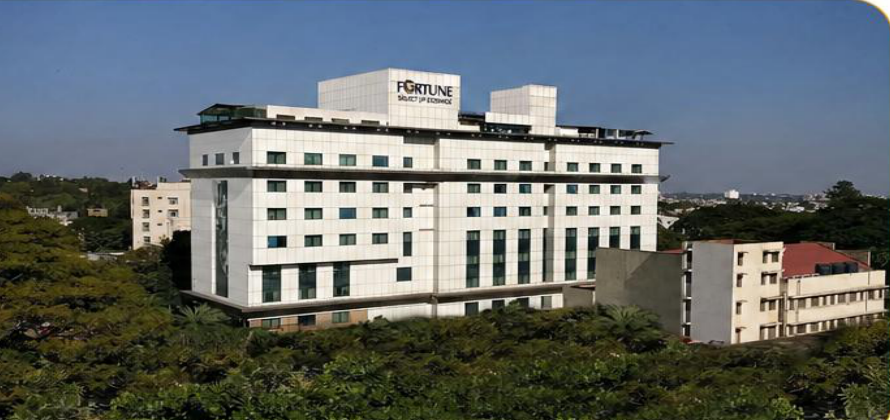 Fortune JP Cosmos